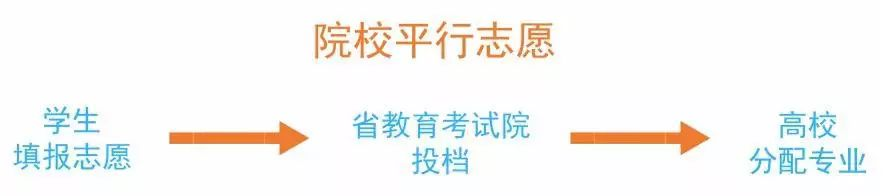 广东省3+证书高职高考志愿填报攻略汇总